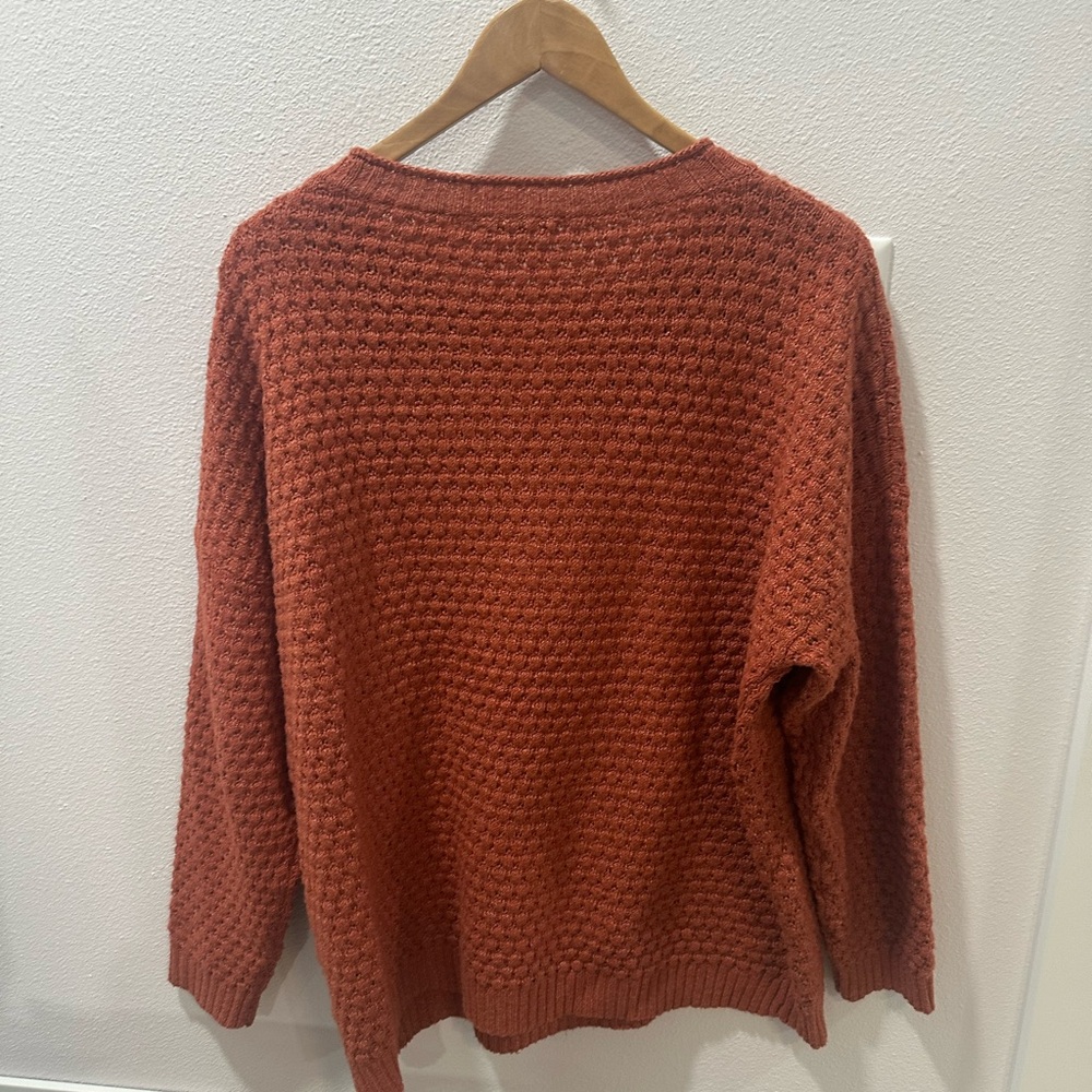 Pink Clover Rust Knit Sweater - Picture 5 of 5